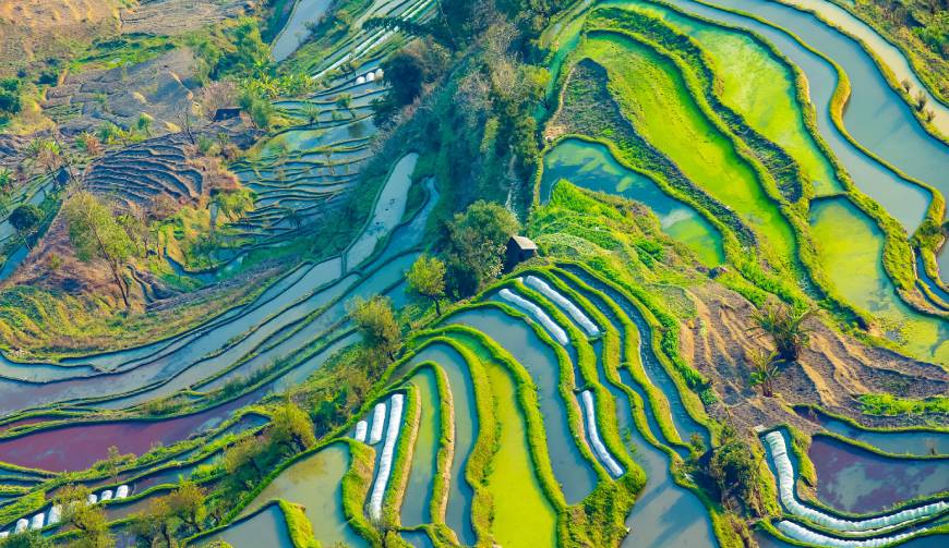 走进西乡县TVC拍摄：解锁本地化场景与创意镜头的完美融合